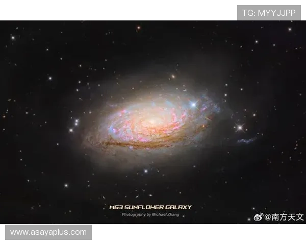 探索星空com网站提供的丰富资源，开启你的天文探索新旅程